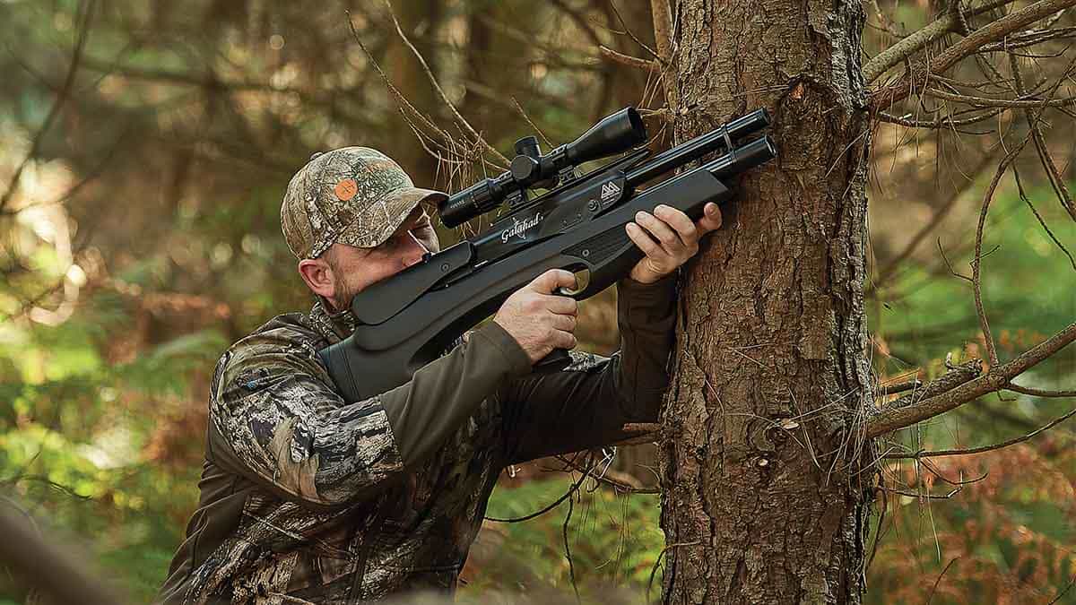Hunting with an Air arms rifle  What You Should Know