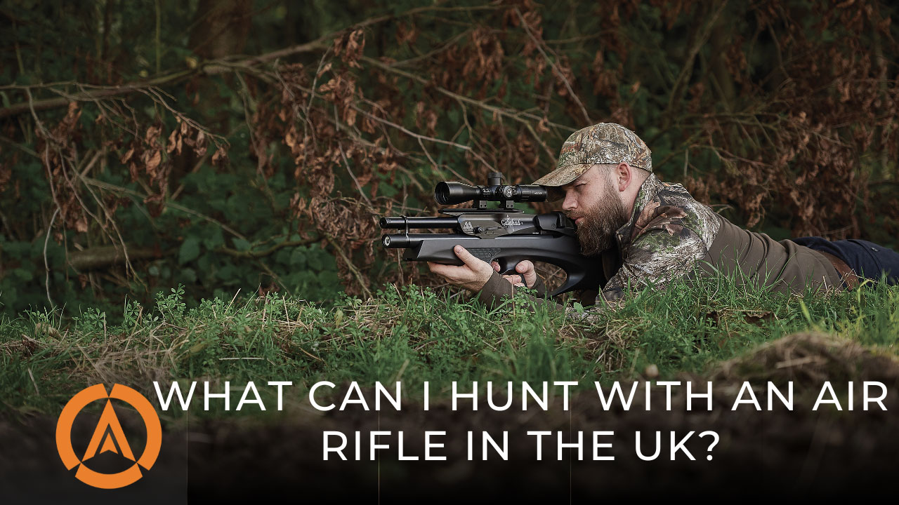 What You Can Legally Hunt with an Air Rifle in the UK?