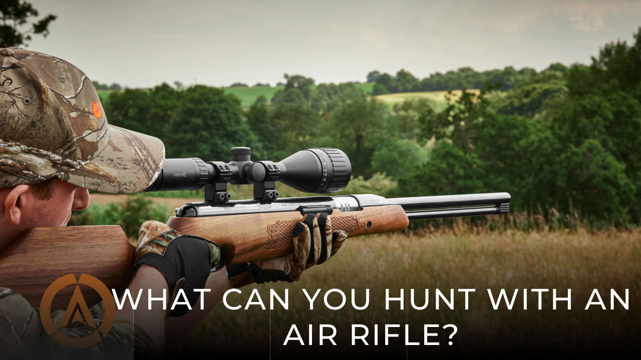 What You Can Legally Hunt with an Air Rifle